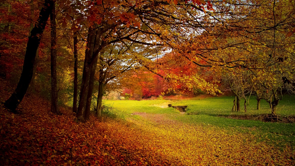 Autumn holidays (week 42) in a cabin